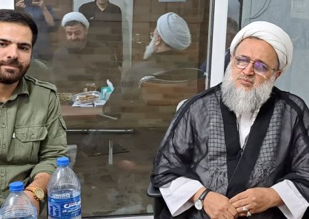 حجت الاسلام والمسلمین احمد پناهیان رئیس جمهور را بازوی ولایت دانست