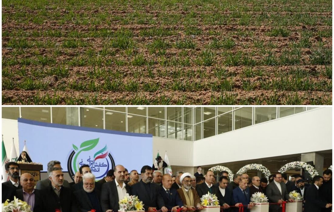 شهرک کفش یا شهرک سرطان؟/وقتی امضای طلایی سلامت مردم را گروگان می‌گیرد