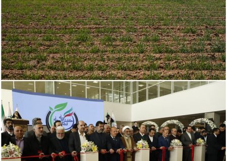 شهرک کفش یا شهرک سرطان؟/وقتی امضای طلایی سلامت مردم را گروگان می‌گیرد