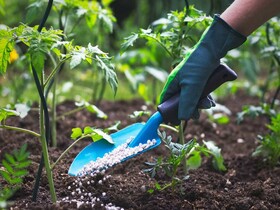  لزوم توزیع کودهای شیمیایی یارانه ای براساس حواله الکترونیکی در استان قم