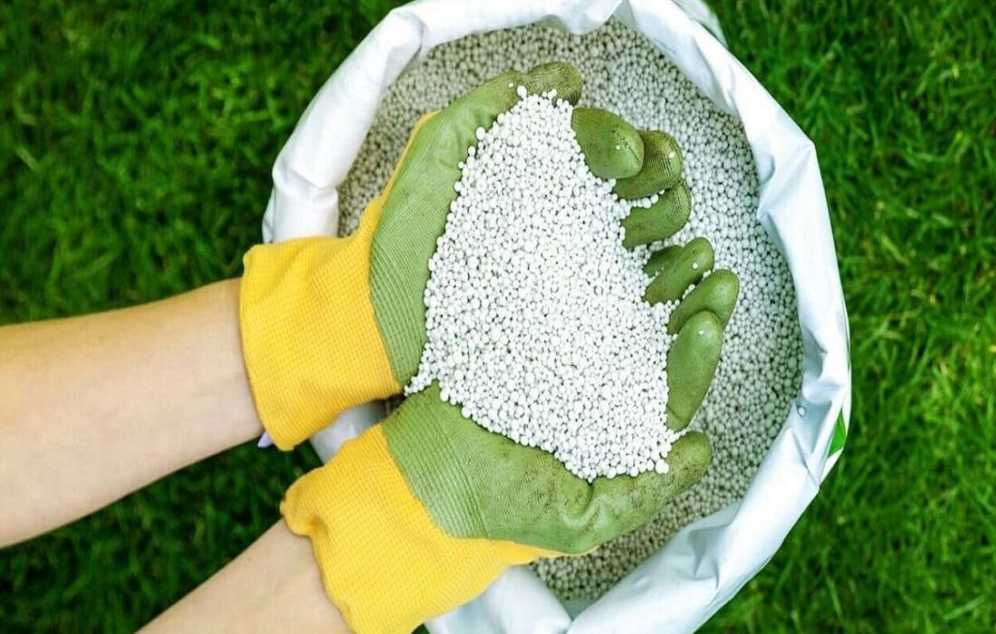 گردهمایی بزرگ تولید کنندگان برتر کودهای کشاورزی در استان قم