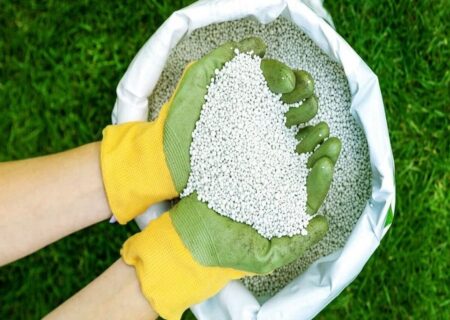 گردهمایی بزرگ تولید کنندگان برتر کودهای کشاورزی در استان قم