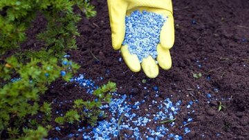 استان قم در صدر ارزیابی‌های کشوری در حوزه نظارت و پایش توزیع کود یارانه‌ای قرار گرفت